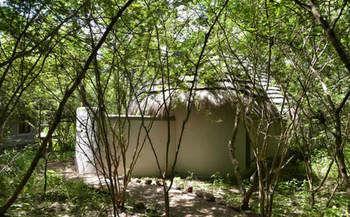 Bakwena Lodge Касане Экстерьер фото